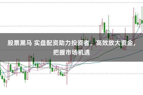 股票黑马 实盘配资助力投资者，高效放大资金，把握市场机遇
