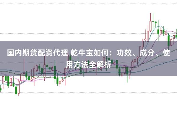 国内期货配资代理 乾牛宝如何：功效、成分、使用方法全解析