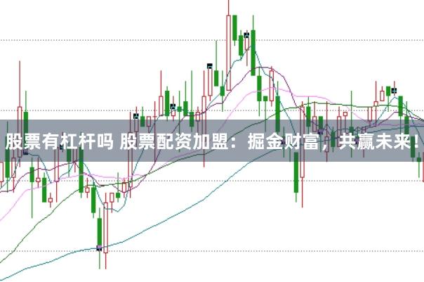 股票有杠杆吗 股票配资加盟：掘金财富，共赢未来！