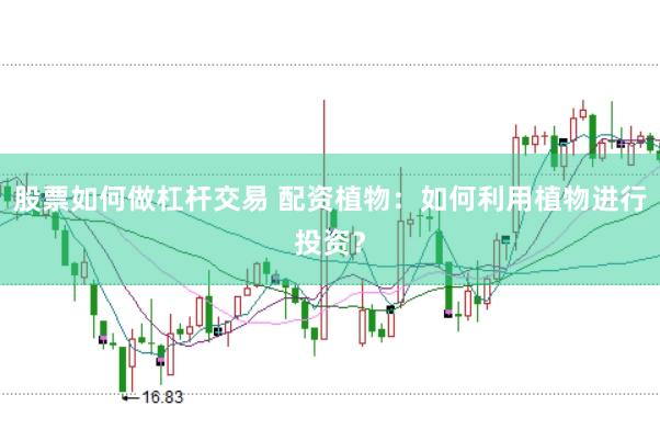 股票如何做杠杆交易 配资植物：如何利用植物进行投资？