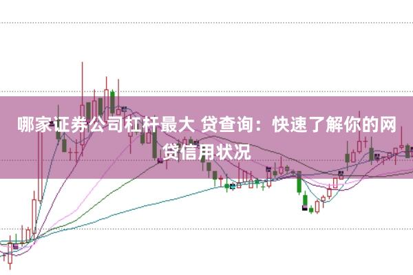 哪家证券公司杠杆最大 贷查询：快速了解你的网贷信用状况