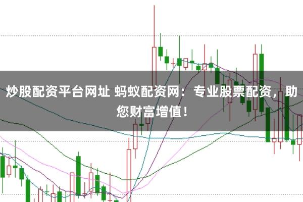炒股配资平台网址 蚂蚁配资网：专业股票配资，助您财富增值！