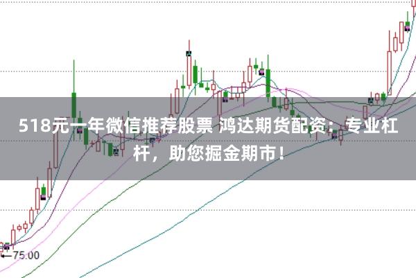 518元一年微信推荐股票 鸿达期货配资：专业杠杆，助您掘金期市！