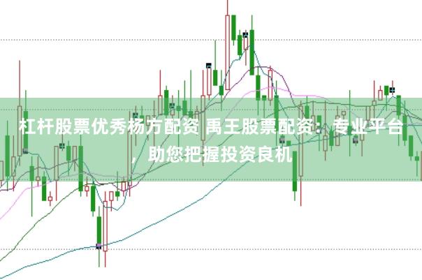 杠杆股票优秀杨方配资 禹王股票配资：专业平台，助您把握投资良机