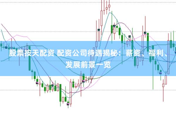 股票按天配资 配资公司待遇揭秘：薪资、福利、发展前景一览