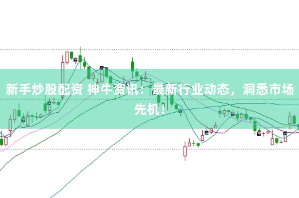 新手炒股配资 神牛资讯：最新行业动态，洞悉市场先机！