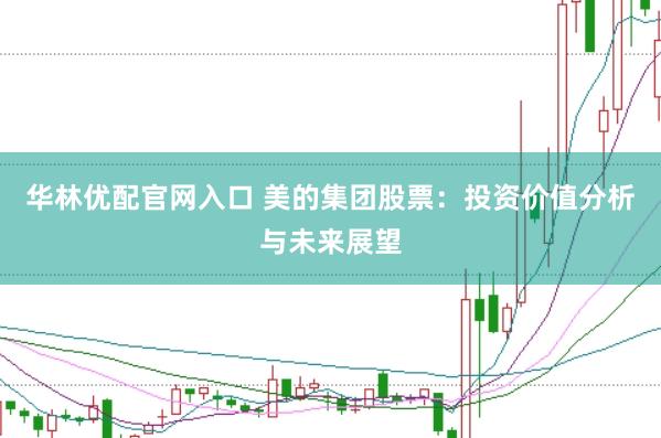 华林优配官网入口 美的集团股票：投资价值分析与未来展望