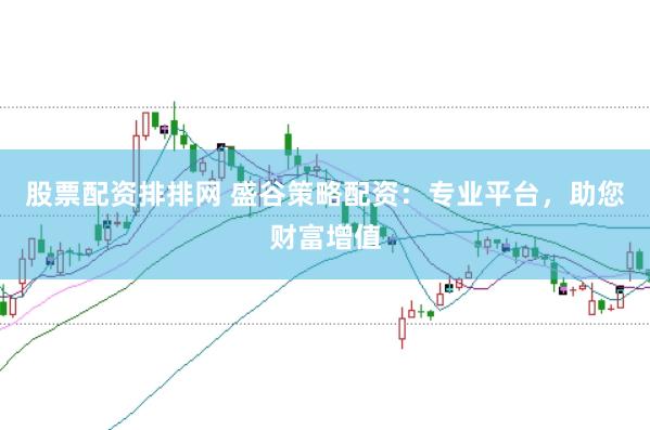 股票配资排排网 盛谷策略配资：专业平台，助您财富增值