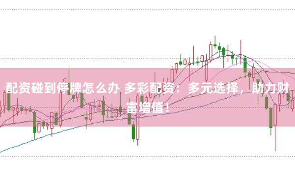 配资碰到停牌怎么办 多彩配资：多元选择，助力财富增值！