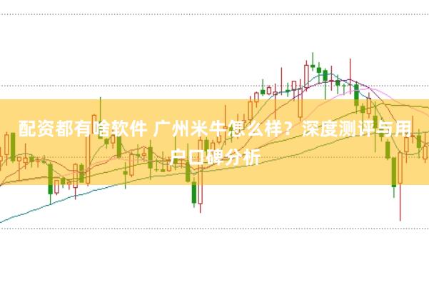 配资都有啥软件 广州米牛怎么样？深度测评与用户口碑分析