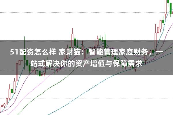 51配资怎么样 家财猫：智能管理家庭财务，一站式解决你的资产增值与保障需求