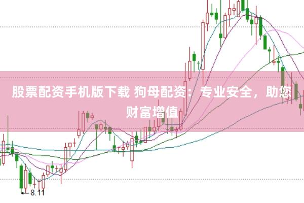 股票配资手机版下载 狗母配资：专业安全，助您财富增值