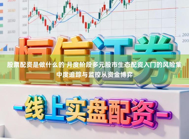 股票配资是做什么的 月度阶段多元股市生态配资入门的风险集中度追踪与监控从资金博弈