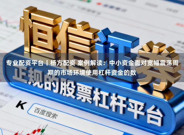专业配资平台丨杨方配资 案例解读：中小资金面对宽幅震荡周期的市场环境使用杠杆资金的数